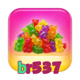 br537